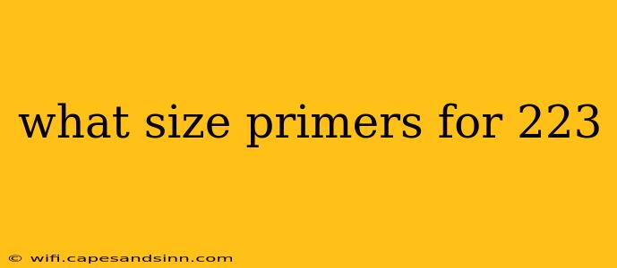 what size primers for 223