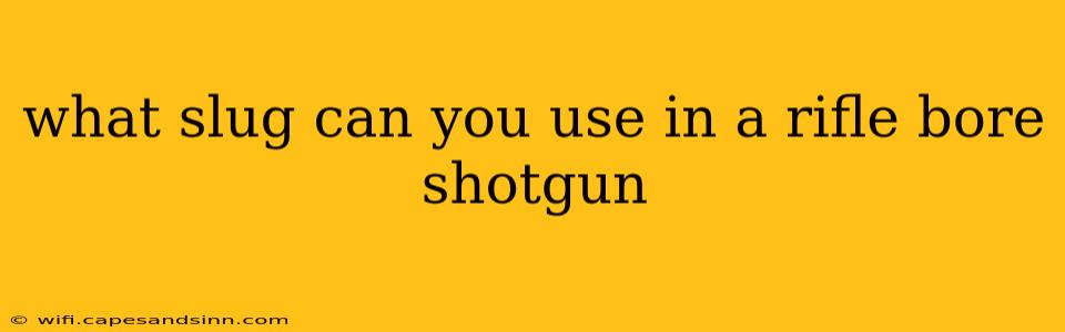 what slug can you use in a rifle bore shotgun