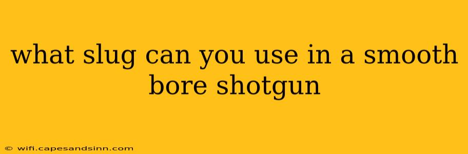 what slug can you use in a smooth bore shotgun