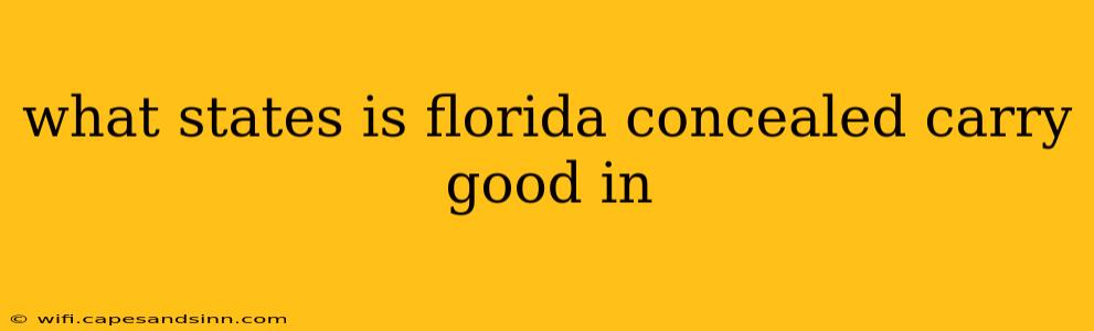 what states is florida concealed carry good in