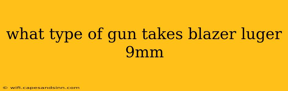 what type of gun takes blazer luger 9mm