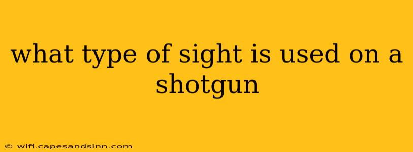 what type of sight is used on a shotgun