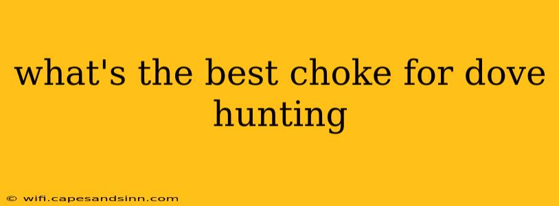 what's the best choke for dove hunting