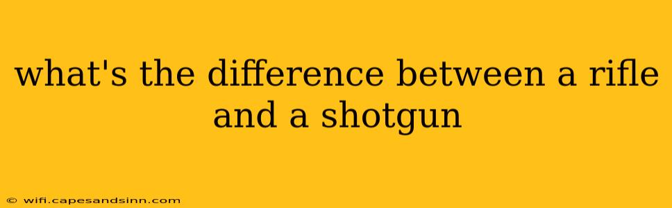 what's the difference between a rifle and a shotgun