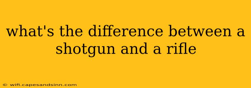 what's the difference between a shotgun and a rifle