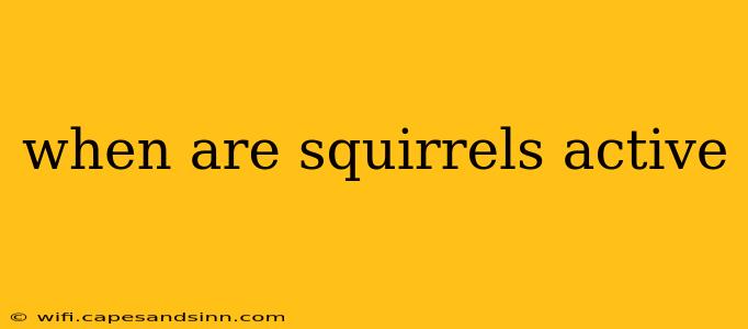 when are squirrels active