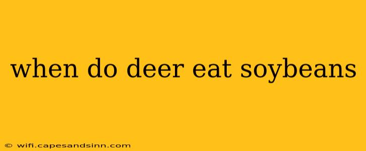 when do deer eat soybeans