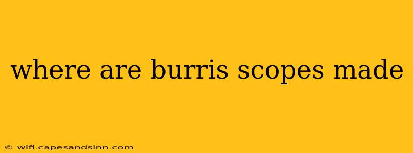 where are burris scopes made