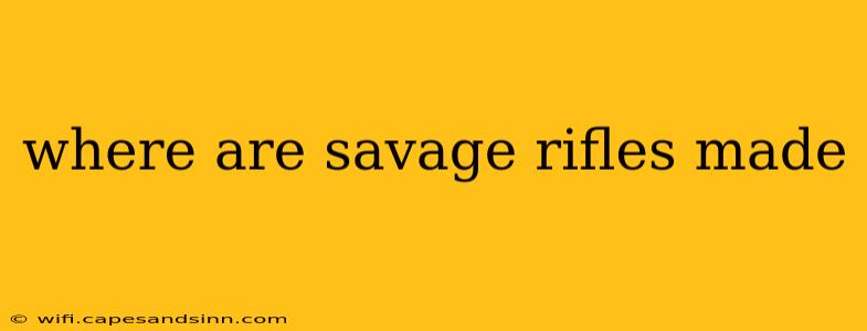 where are savage rifles made