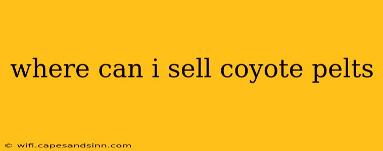 where can i sell coyote pelts