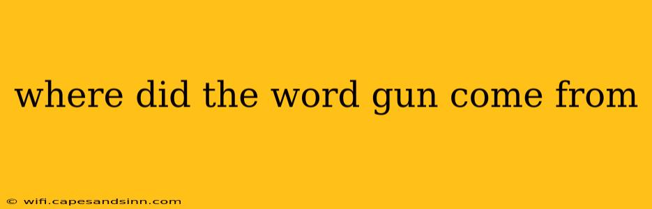 where did the word gun come from