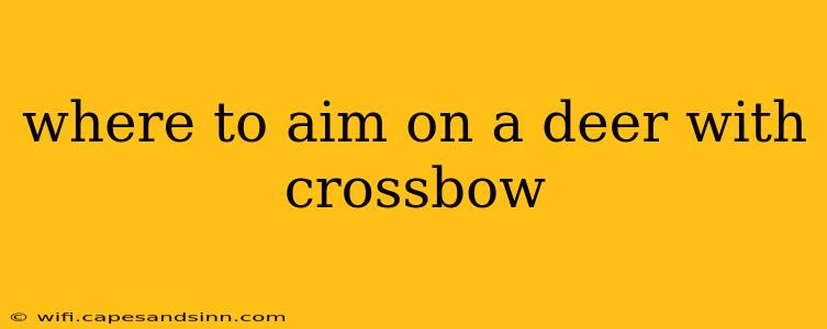 where to aim on a deer with crossbow