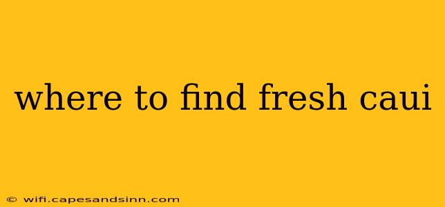 where to find fresh caui