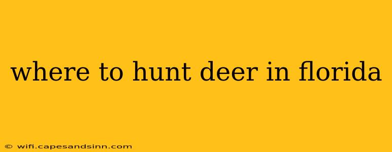 where to hunt deer in florida