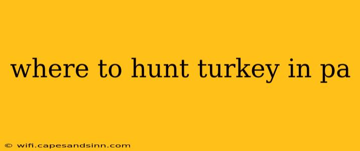 where to hunt turkey in pa