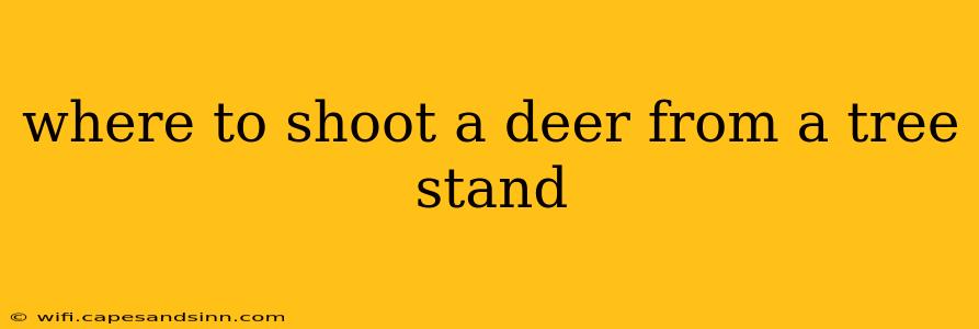 where to shoot a deer from a tree stand