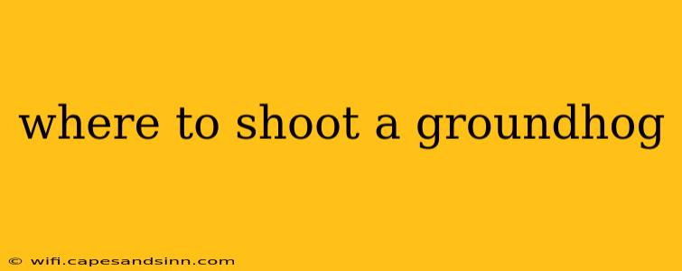 where to shoot a groundhog