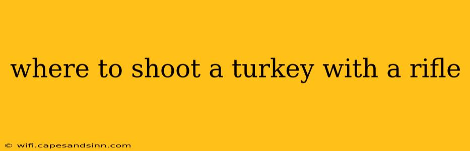 where to shoot a turkey with a rifle