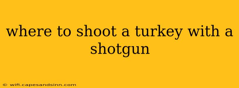 where to shoot a turkey with a shotgun