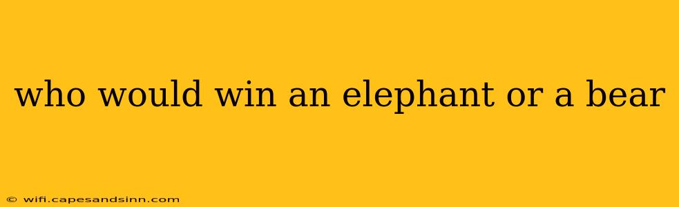 who would win an elephant or a bear