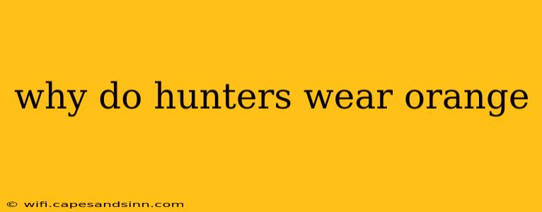 why do hunters wear orange