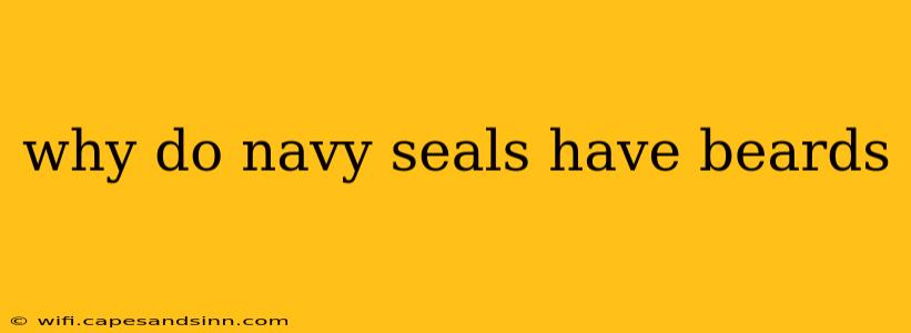 why do navy seals have beards