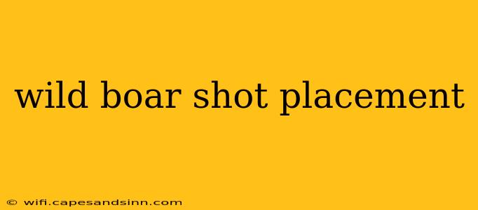 wild boar shot placement