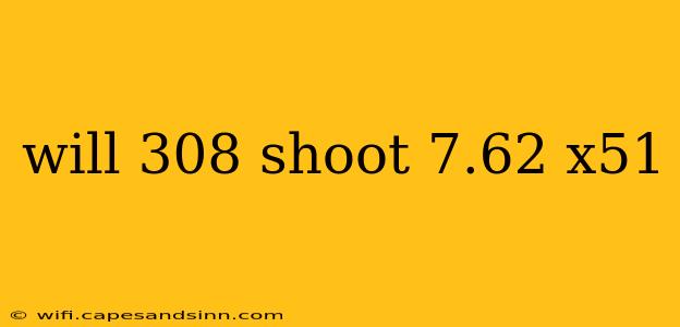 will 308 shoot 7.62 x51