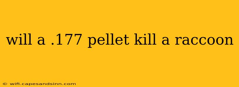 will a .177 pellet kill a raccoon