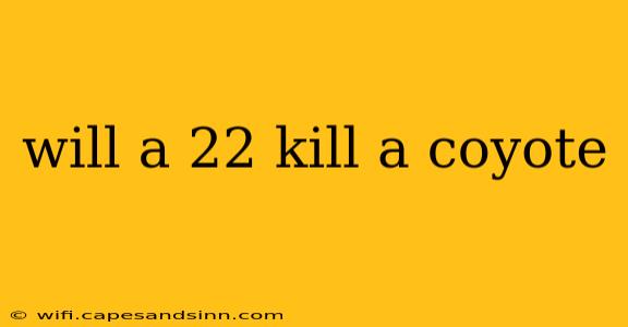 will a 22 kill a coyote