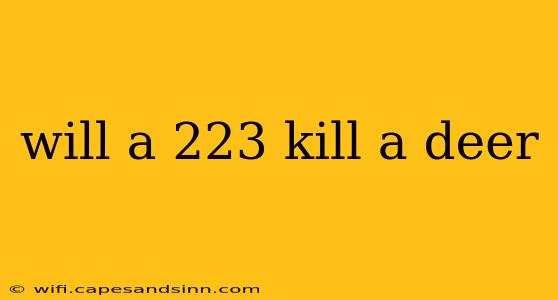 will a 223 kill a deer