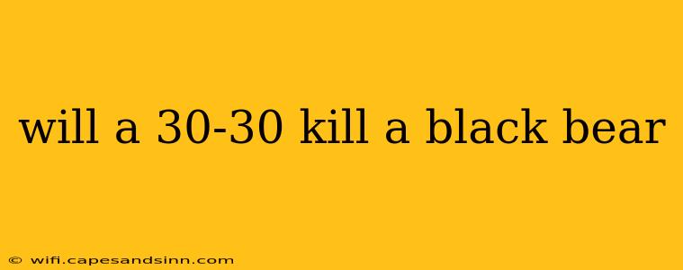 will a 30-30 kill a black bear