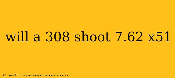 will a 308 shoot 7.62 x51