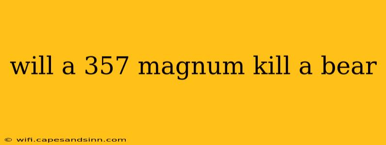 will a 357 magnum kill a bear