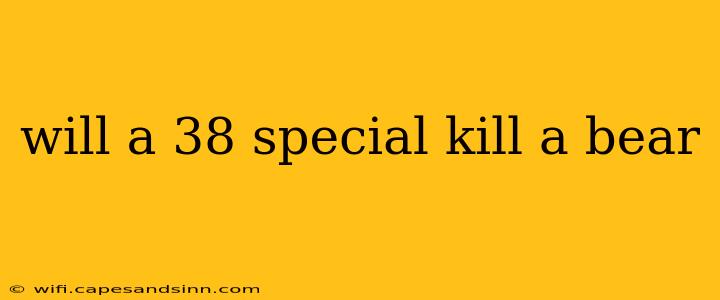 will a 38 special kill a bear