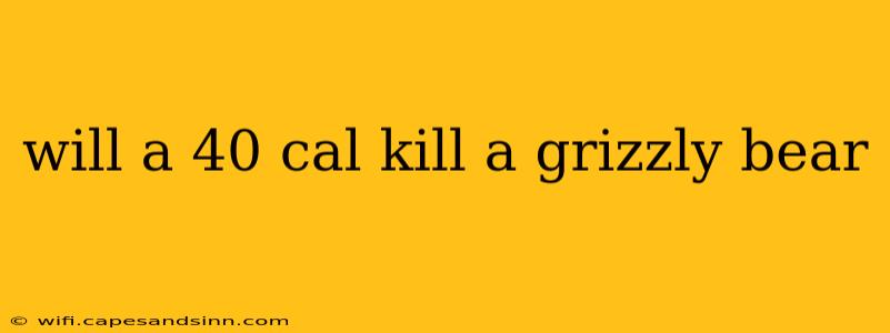 will a 40 cal kill a grizzly bear