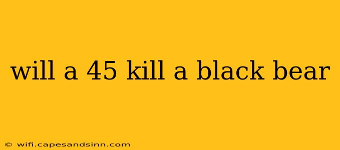 will a 45 kill a black bear