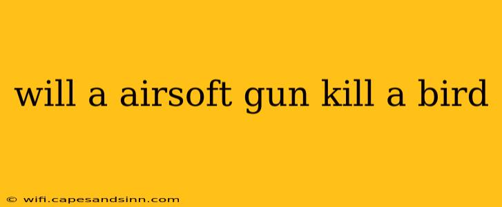 will a airsoft gun kill a bird