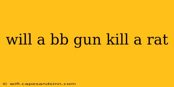 will a bb gun kill a rat