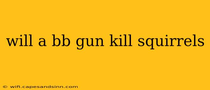 will a bb gun kill squirrels