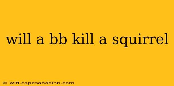 will a bb kill a squirrel