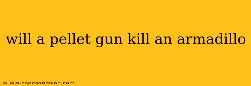 will a pellet gun kill an armadillo