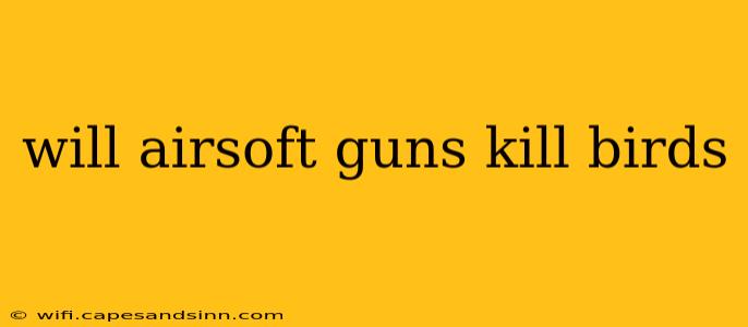 will airsoft guns kill birds