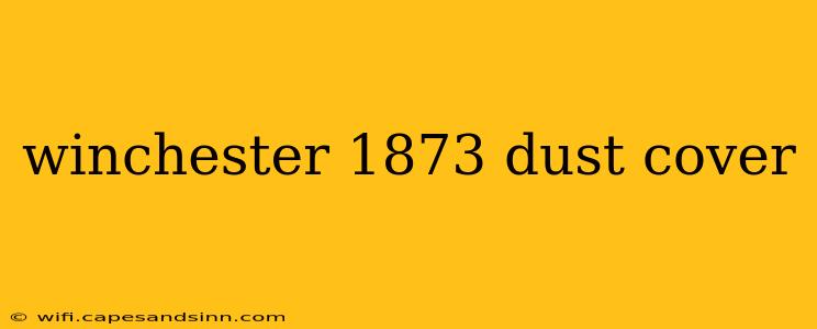 winchester 1873 dust cover