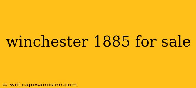 winchester 1885 for sale