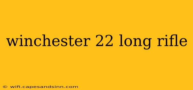 winchester 22 long rifle