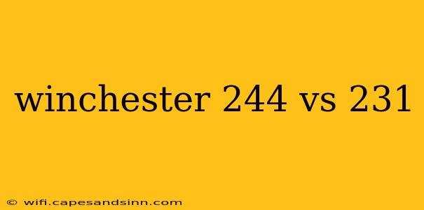 winchester 244 vs 231