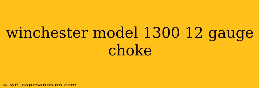 winchester model 1300 12 gauge choke