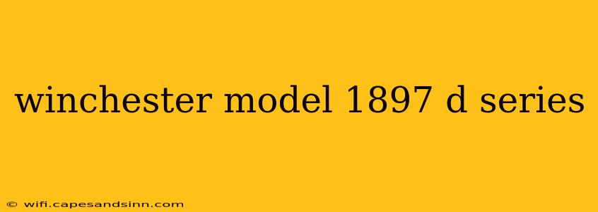 winchester model 1897 d series