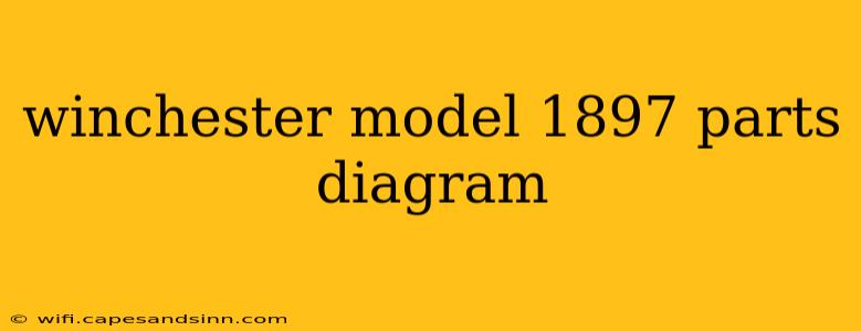 winchester model 1897 parts diagram